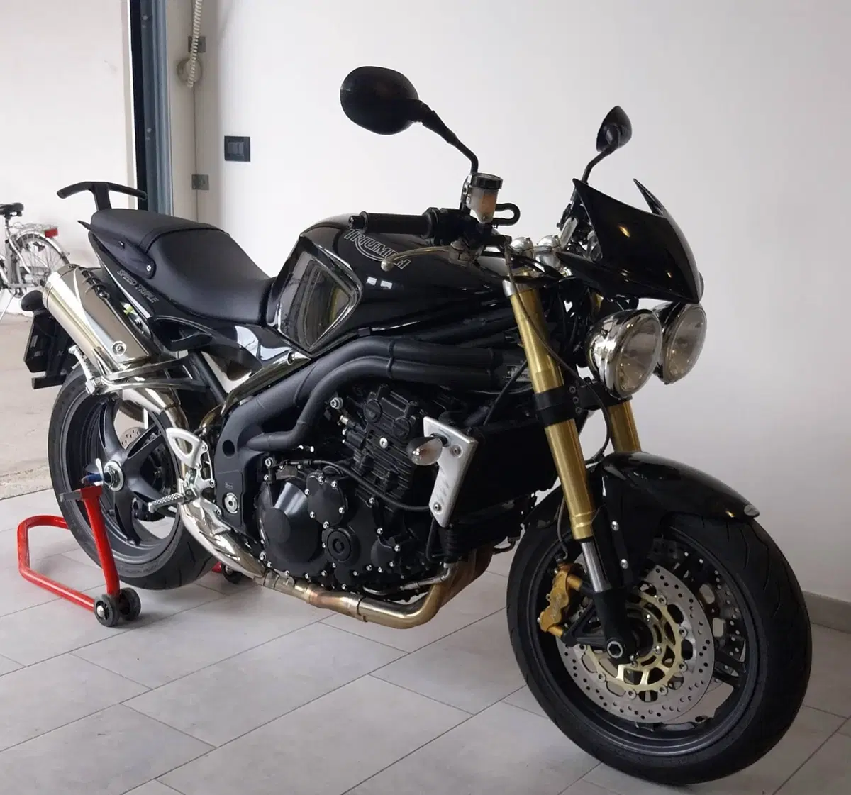 Triumph Speed Triple 1050 (2005 - 11) (5)