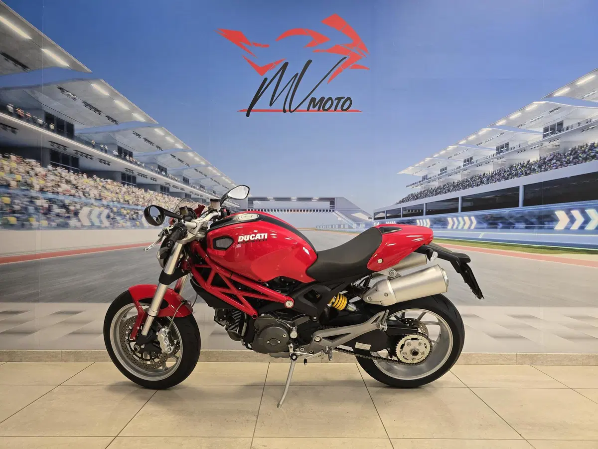 Ducati Monster 1100 (2009 - 10) (3)