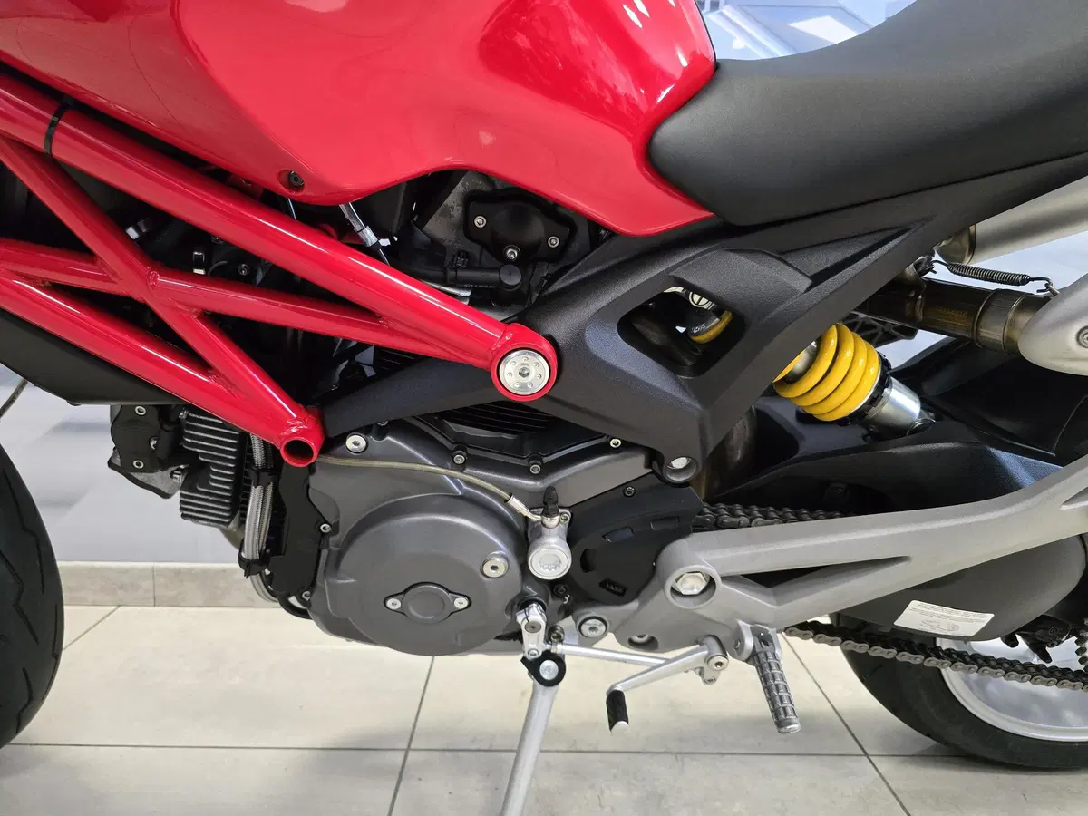 Ducati Monster 1100 (2009 - 10) (7)