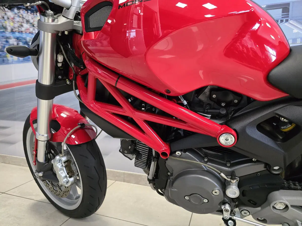 Ducati Monster 1100 (2009 - 10) (8)