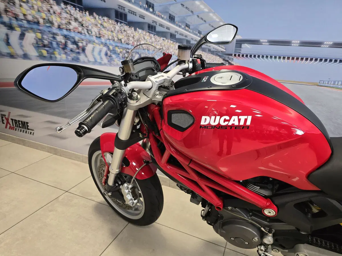Ducati Monster 1100 (2009 - 10) (9)