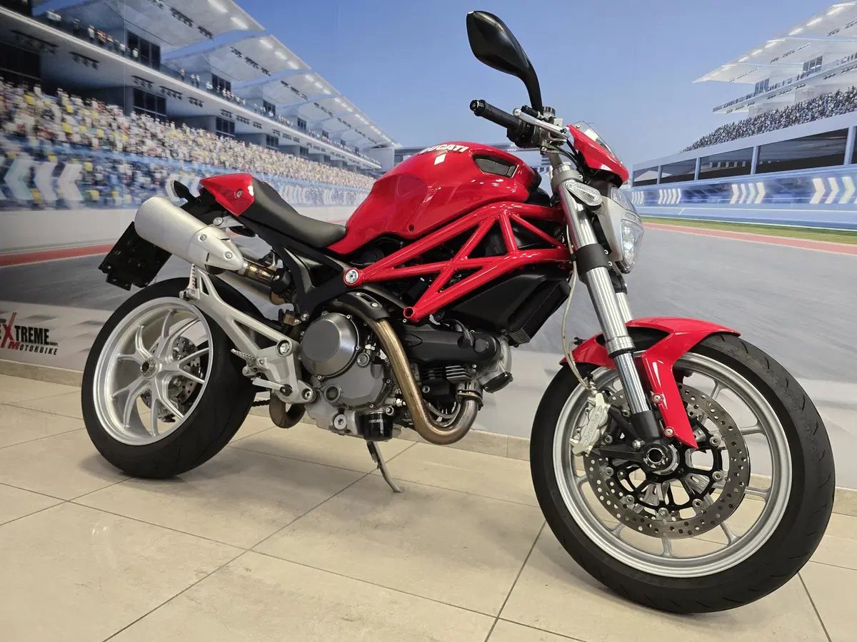 Ducati Monster 1100 (2009 - 10) (12)