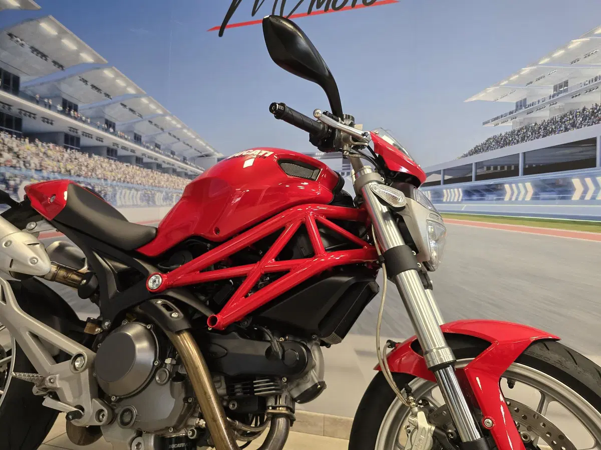 Ducati Monster 1100 (2009 - 10) (13)