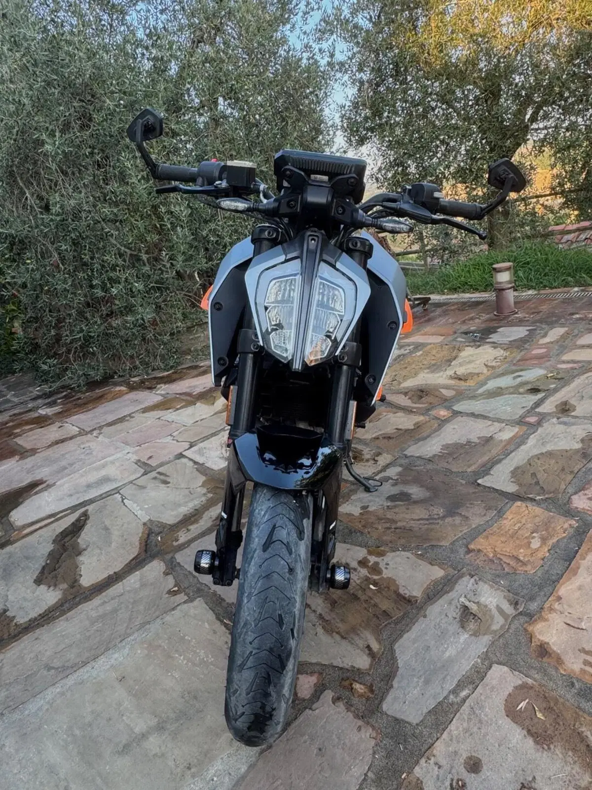 KTM 125 Duke (2021 - 23) (4)