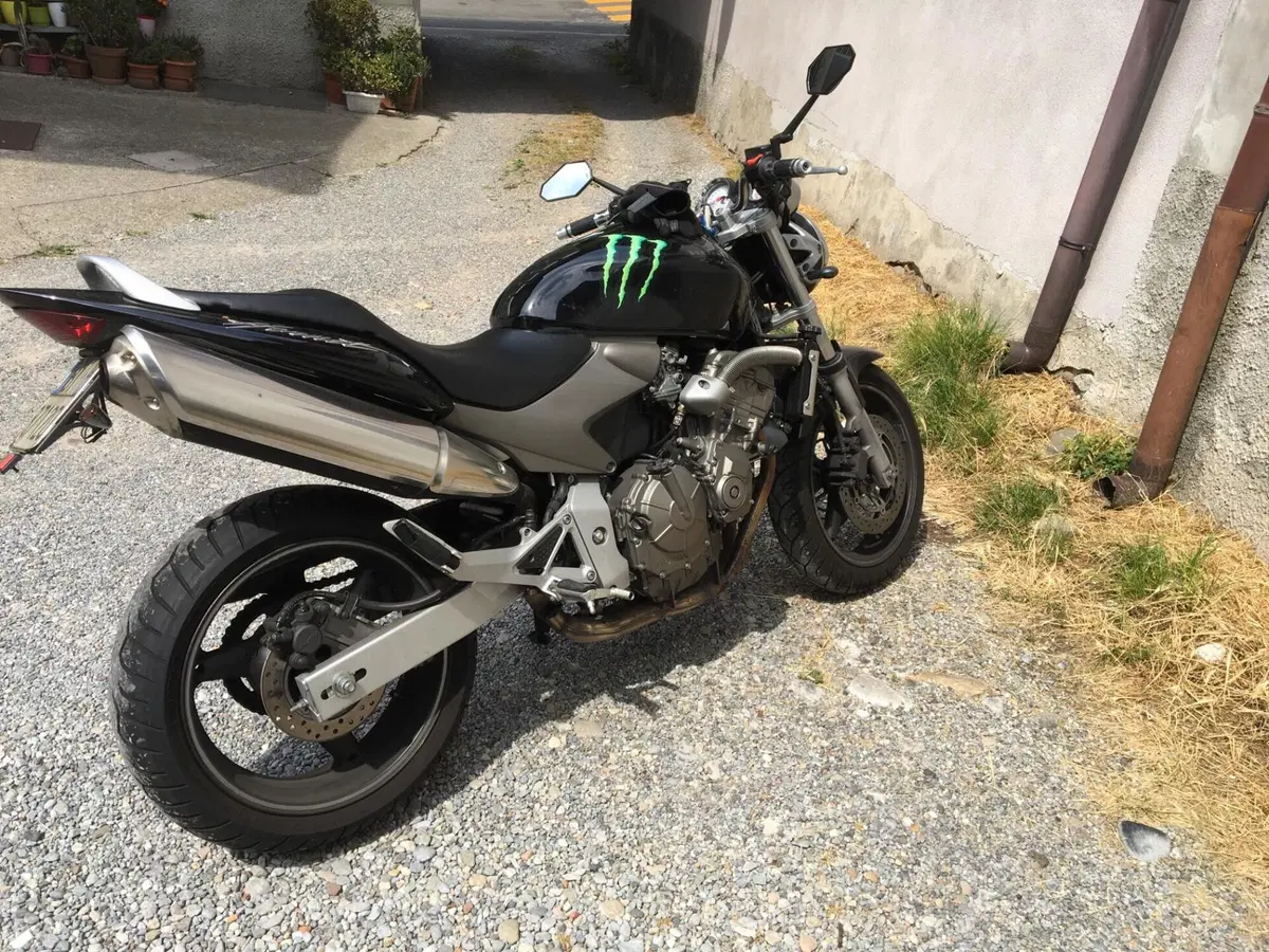 Honda Hornet 600 (2003 - 04) (3)