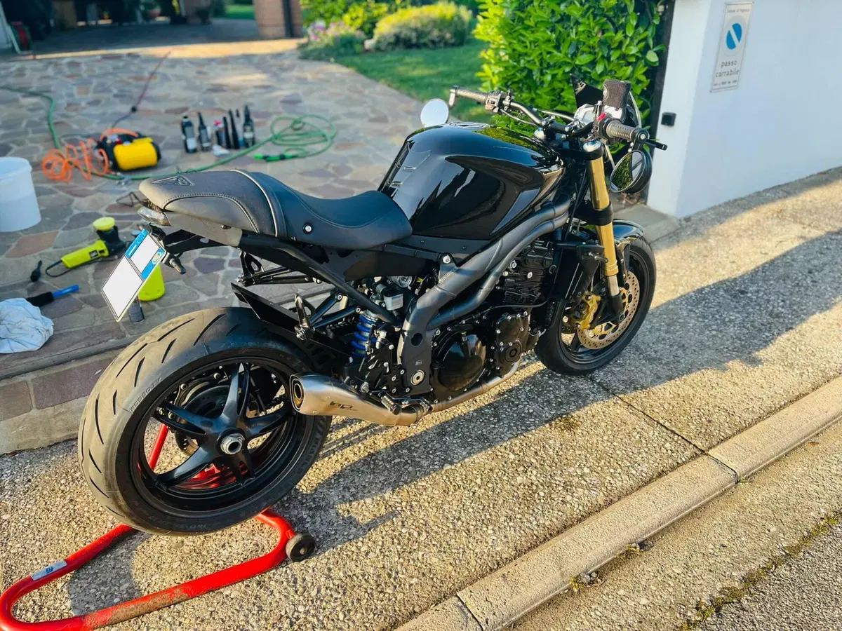 Triumph Speed Triple 1050 (2005 - 11) (4)