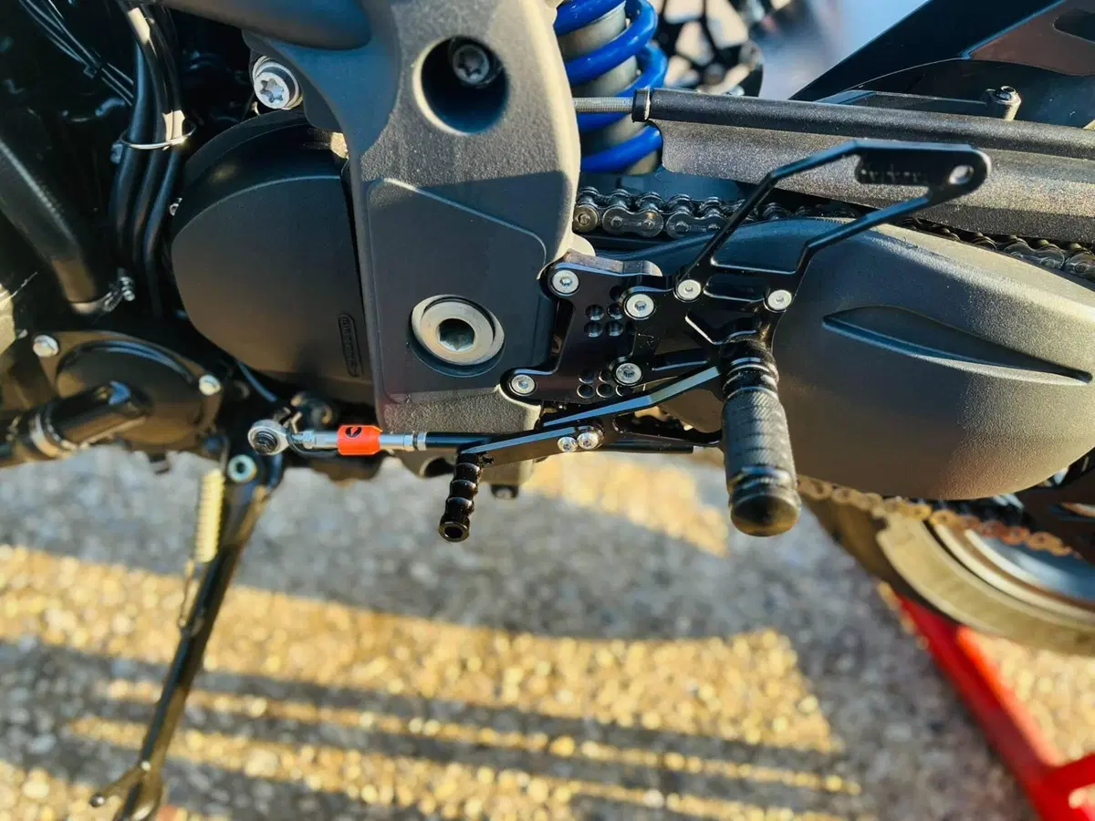 Triumph Speed Triple 1050 (2005 - 11) (8)