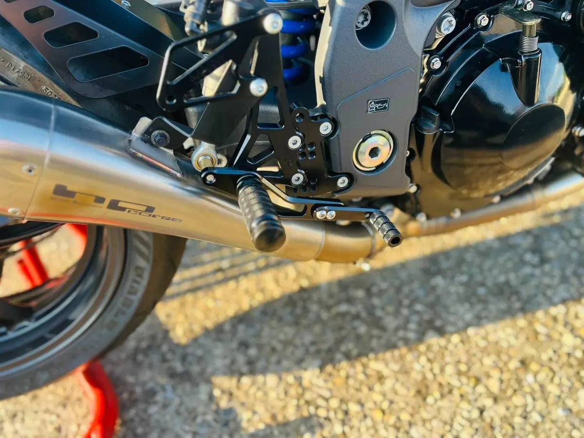 Triumph Speed Triple 1050 (2005 - 11) (9)