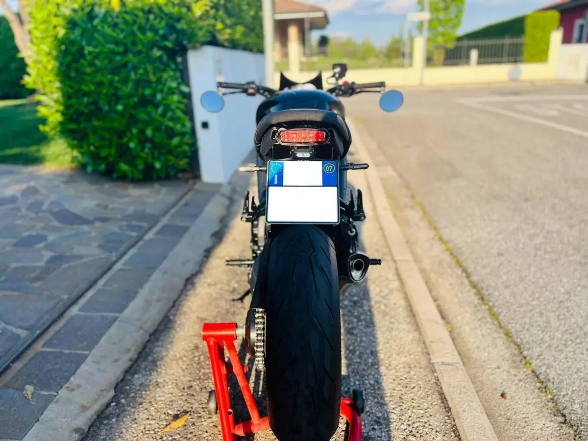 Triumph Speed Triple 1050 (2005 - 11) (2)