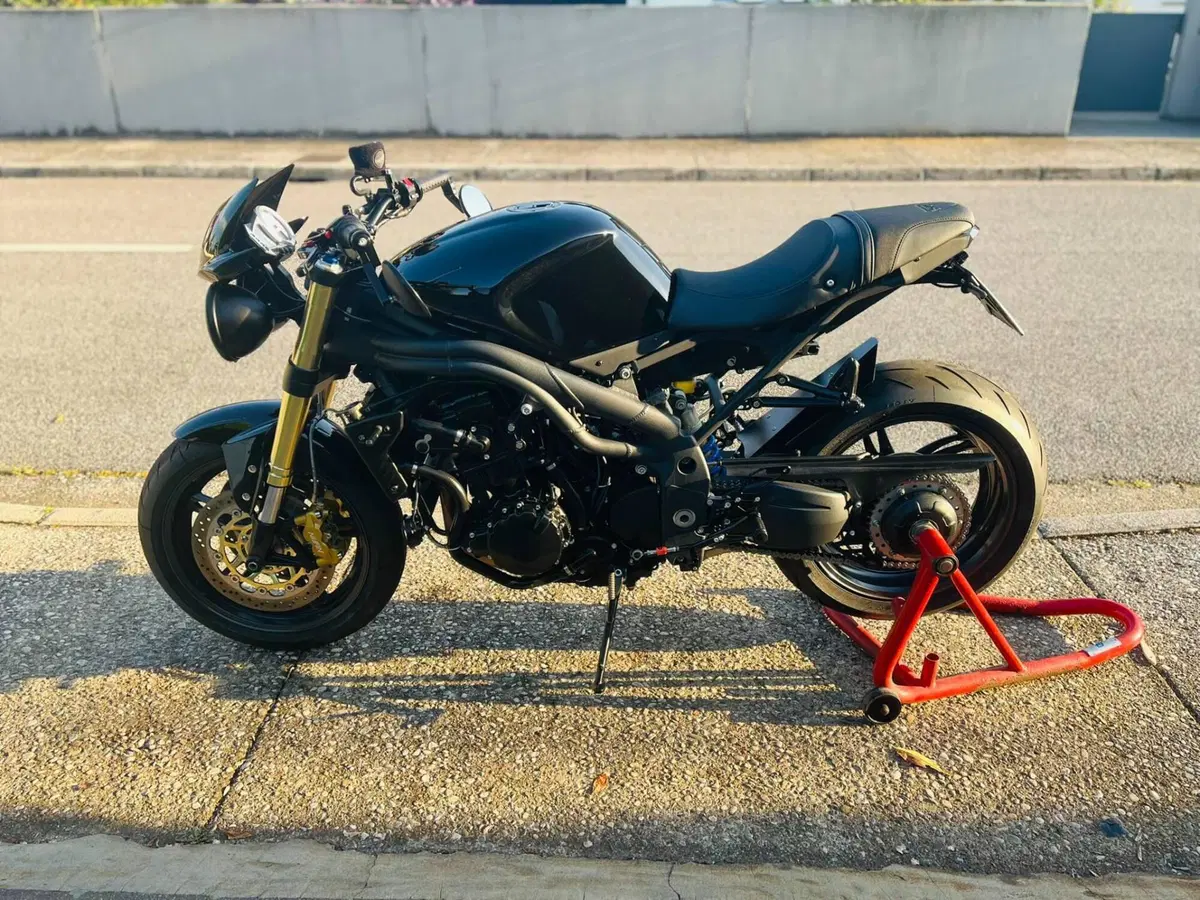 Triumph Speed Triple 1050 (2005 - 11)