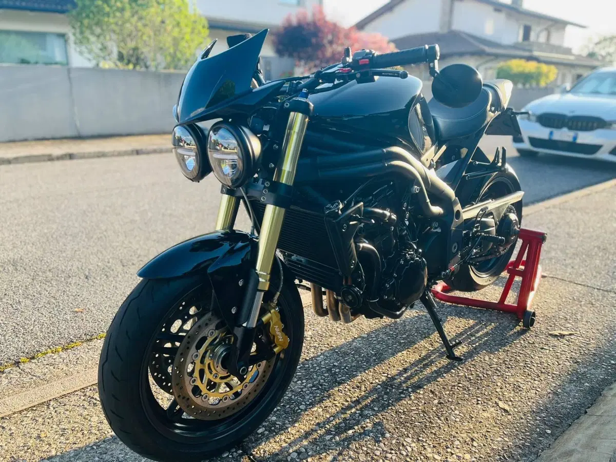 Triumph Speed Triple 1050 (2005 - 11) (5)