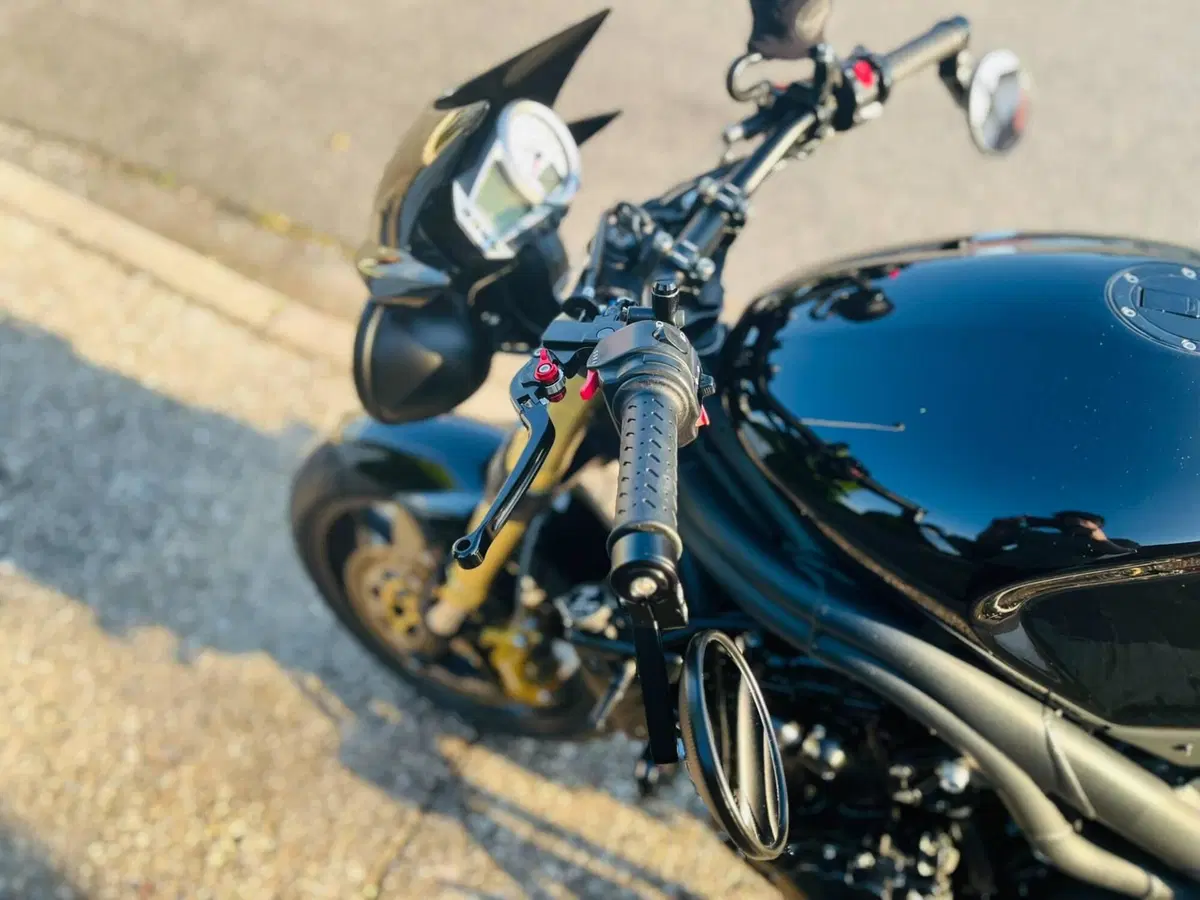 Triumph Speed Triple 1050 (2005 - 11) (6)