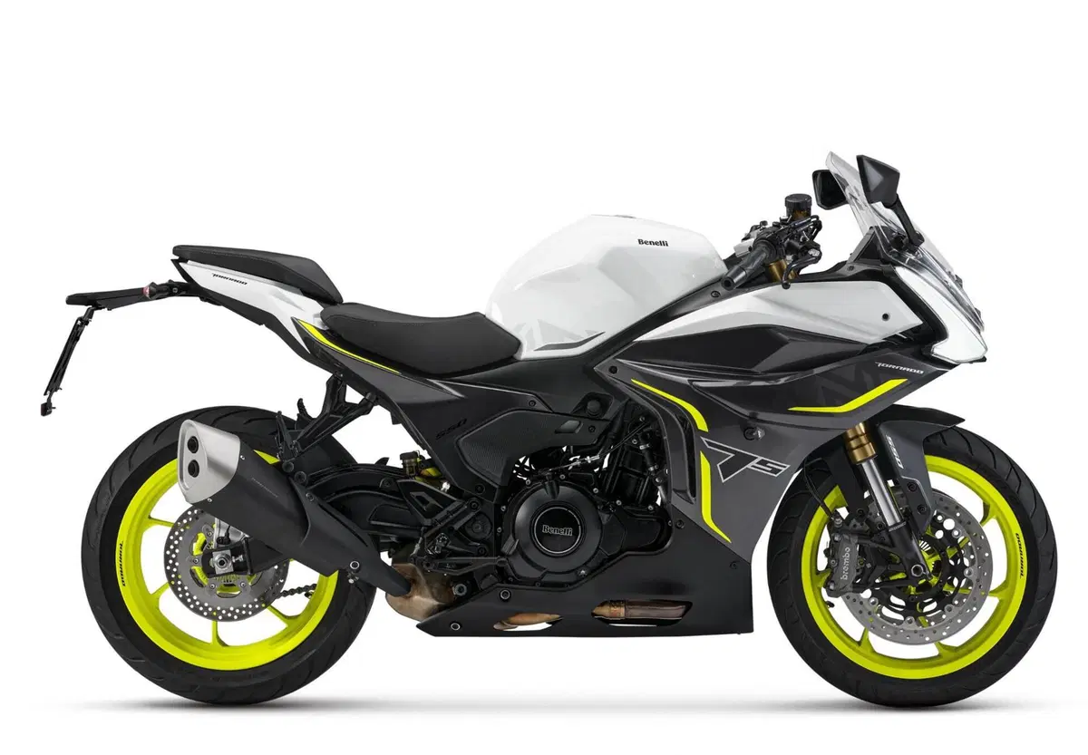 Benelli Tornado 550 (2025 - 26) (2)