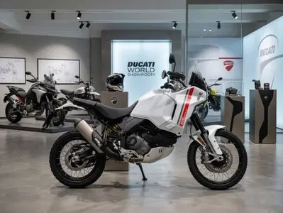 Ducati DesertX (2022 - 25) usata