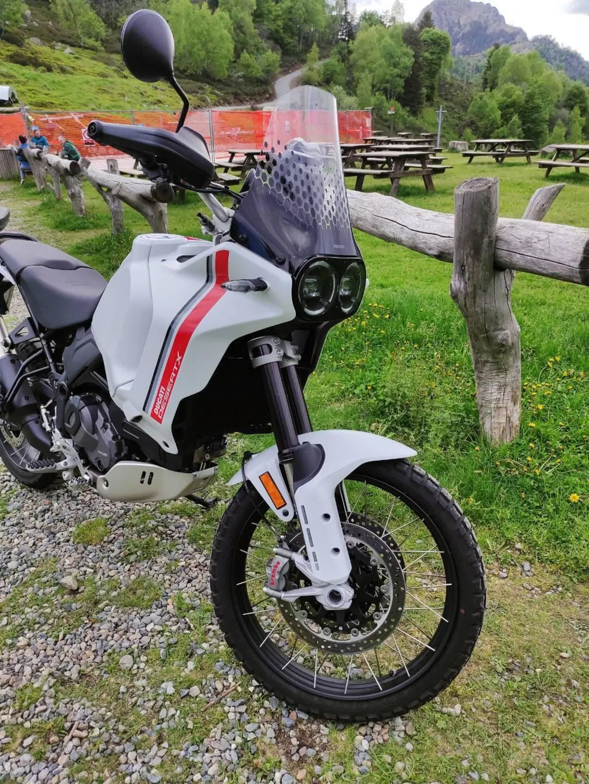 Ducati DesertX (2022 - 25) (6)
