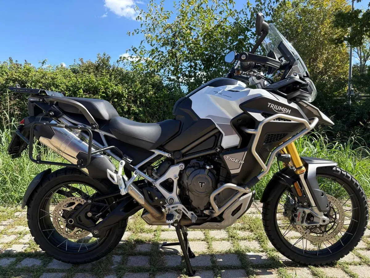 Triumph Tiger 1200 Rally Explorer (2024 - 26)
