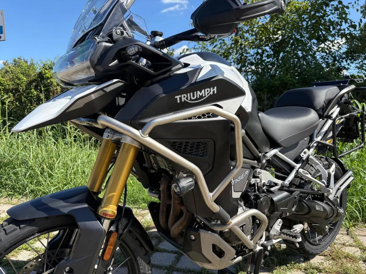 Triumph Tiger 1200 Rally Explorer (2024 - 26) (3)