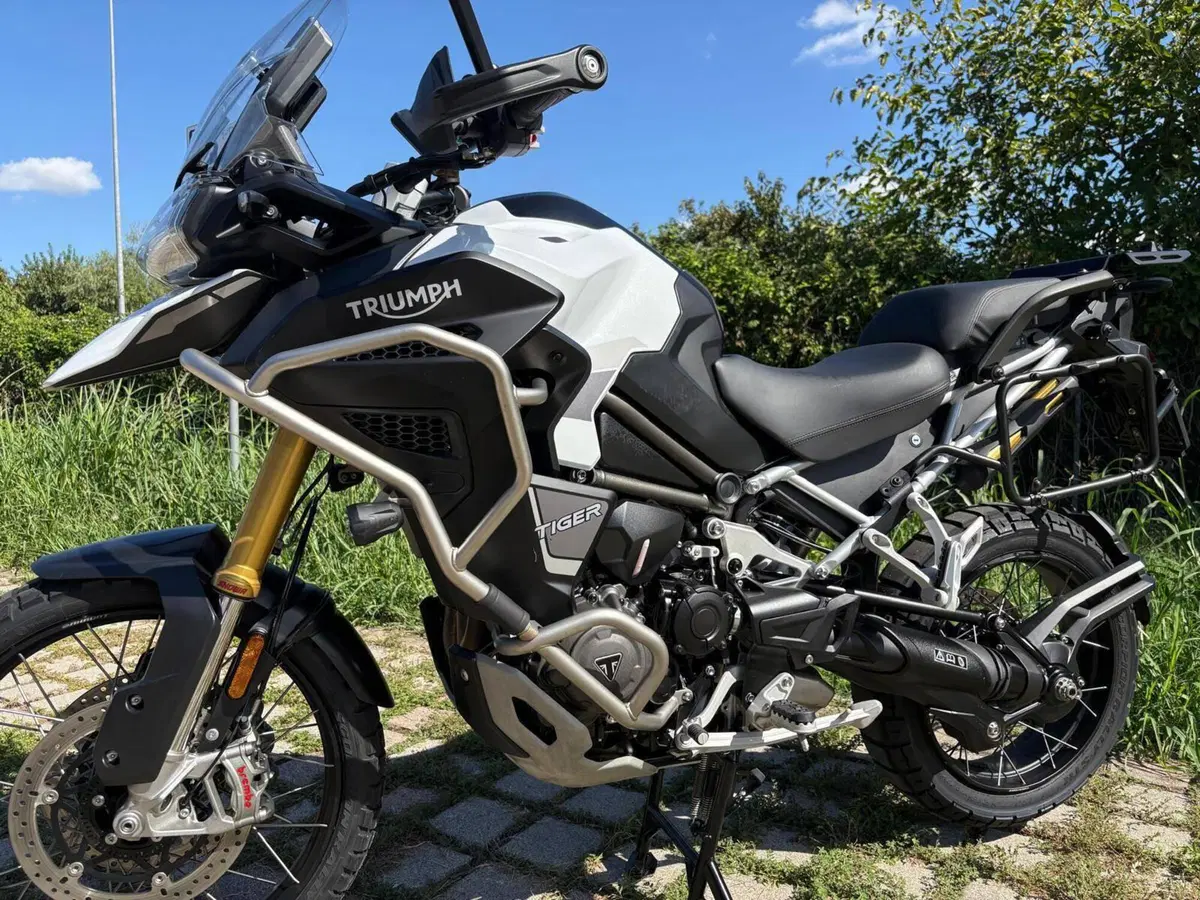 Triumph Tiger 1200 Rally Explorer (2024 - 26) (4)