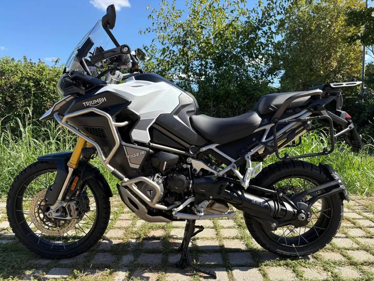 Triumph Tiger 1200 Rally Explorer (2024 - 26) (5)
