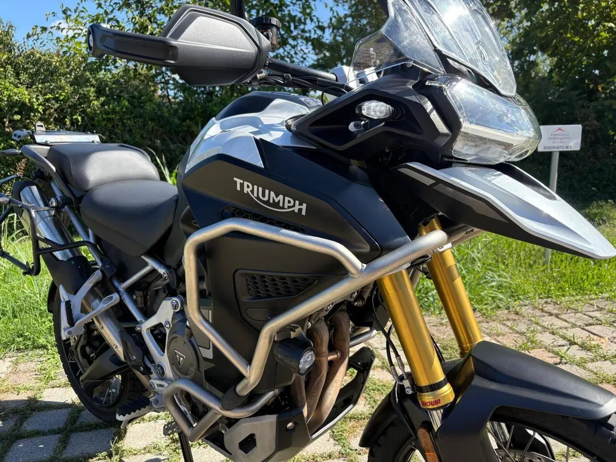 Triumph Tiger 1200 Rally Explorer (2024 - 26) (7)