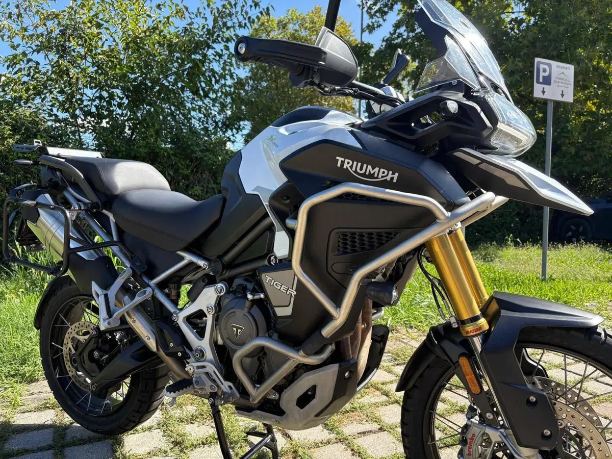 Triumph Tiger 1200 Rally Explorer (2024 - 26) (8)