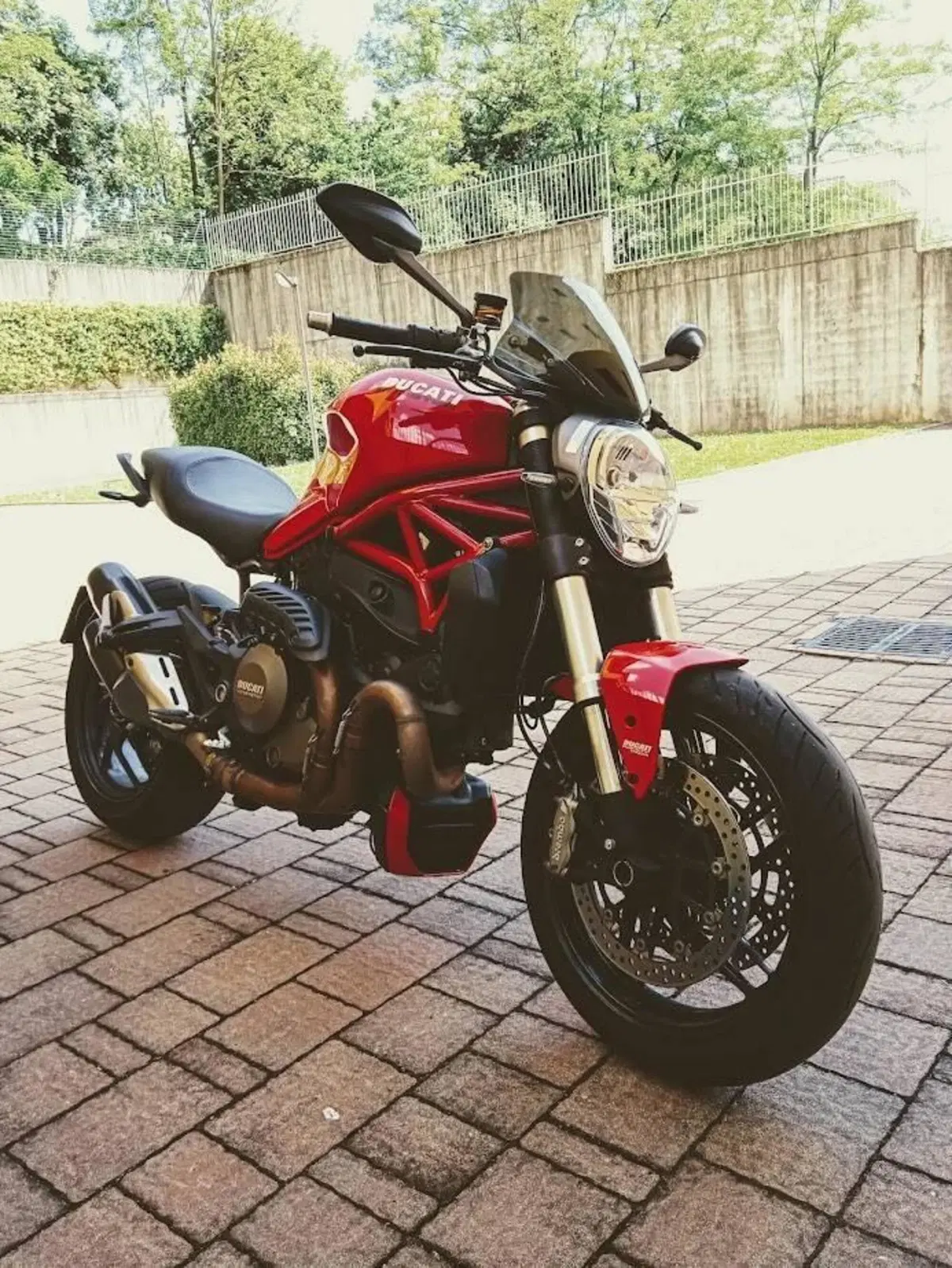 Ducati Monster 1200 (2014 - 16) (2)
