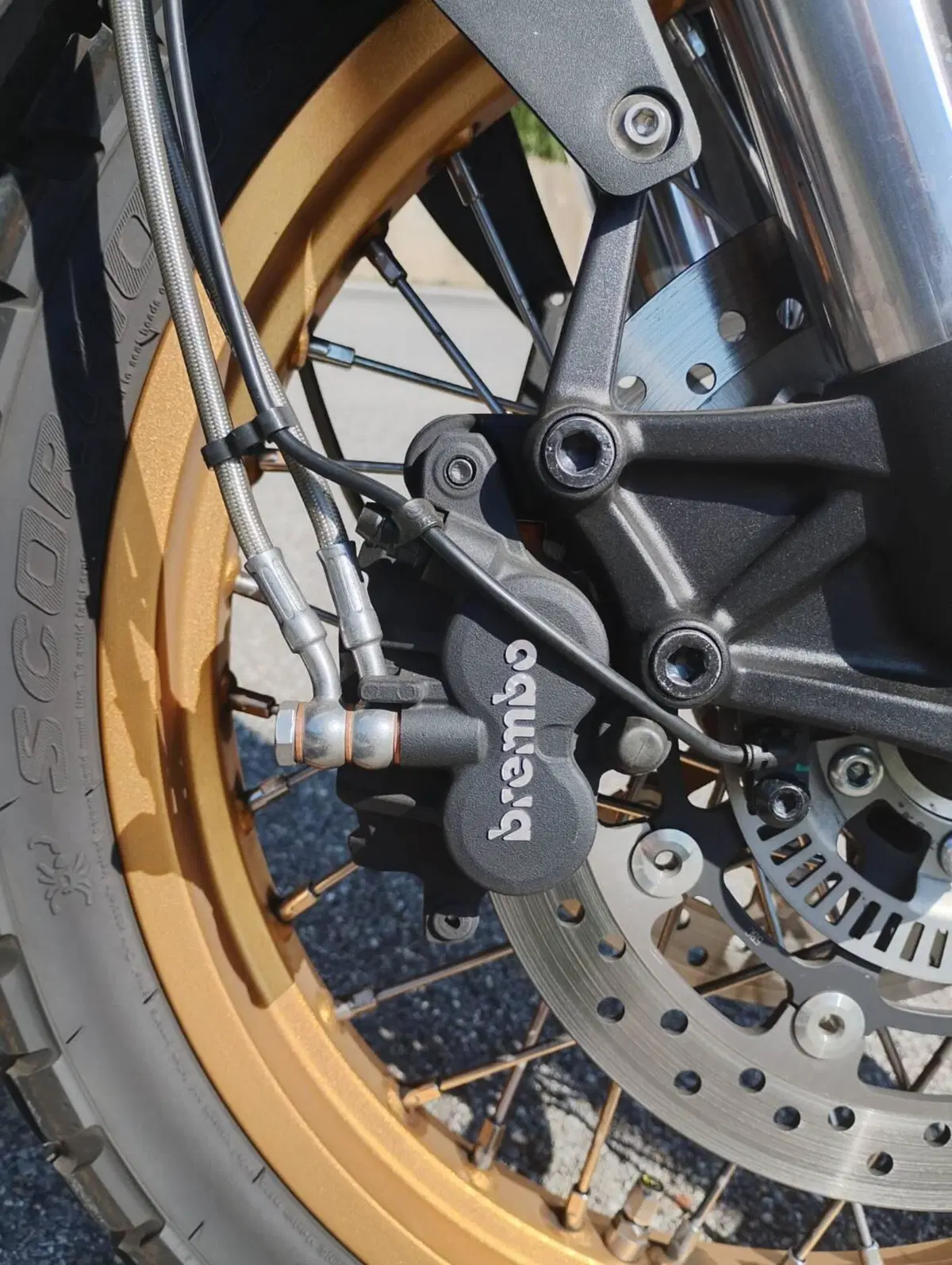 Moto Morini X-Cape 700 Gold Edition (2025 - 26) (6)
