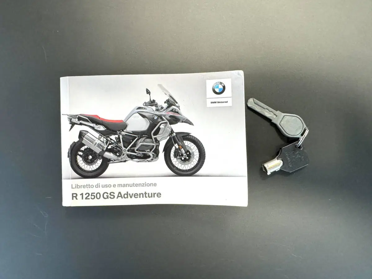 Bmw R 1250 GS Adventure (2019 - 20) (19)