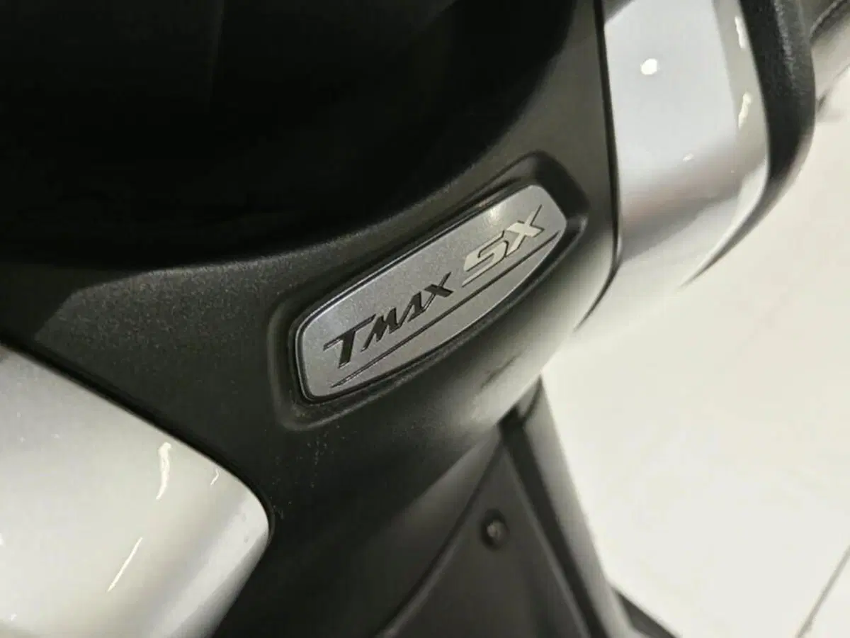 Yamaha T-Max 530 SX (2017 - 19) (4)