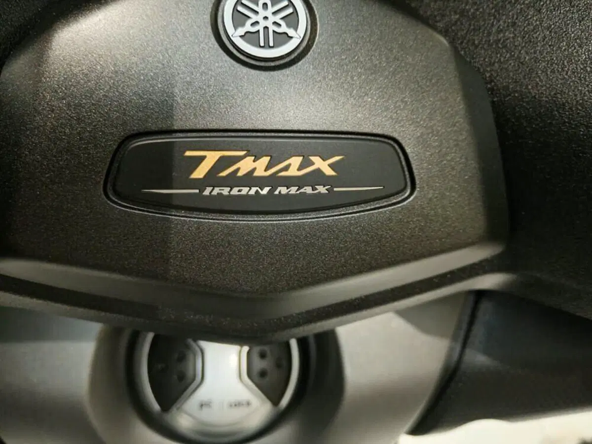Yamaha T-Max 530 Iron Max ABS (2014 - 17) (4)