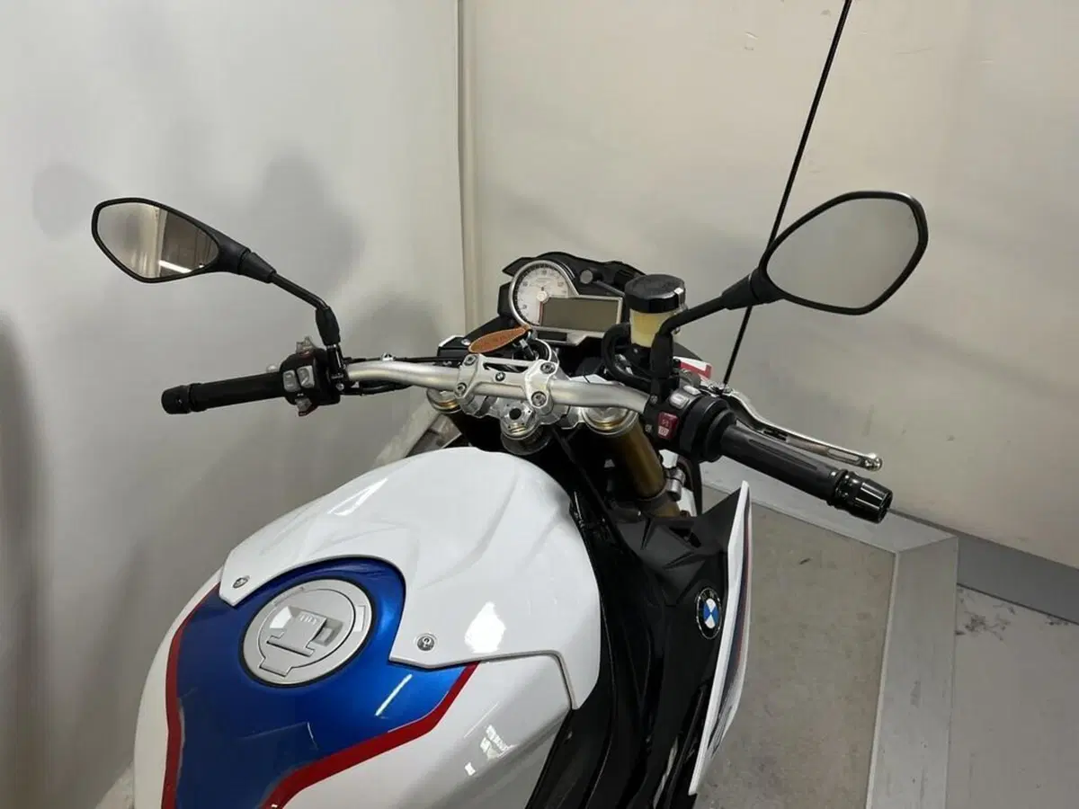 Bmw S 1000 R (2017 - 20) (10)