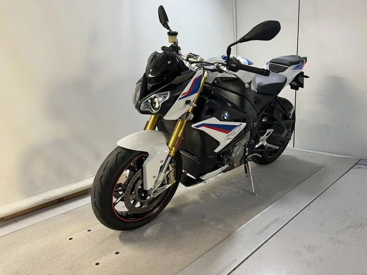 Bmw S 1000 R (2017 - 20) (4)