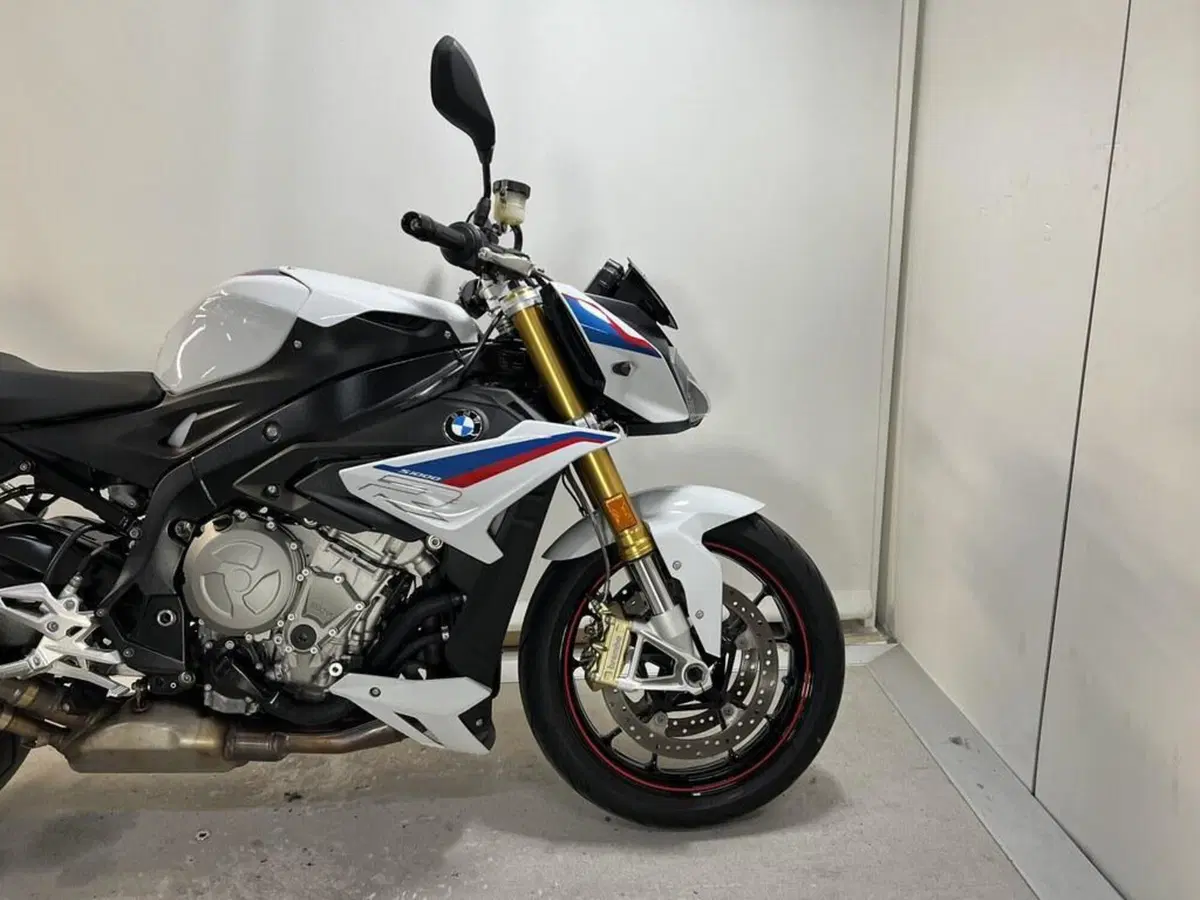 Bmw S 1000 R (2017 - 20) (11)