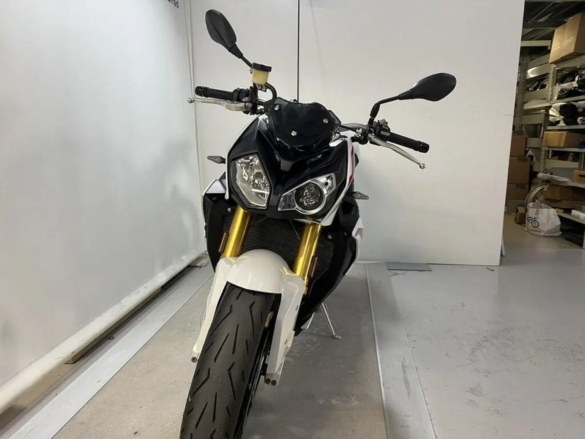 Bmw S 1000 R (2017 - 20) (5)