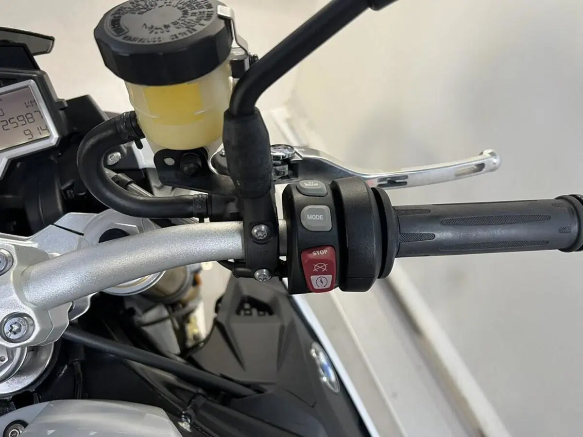 Bmw S 1000 R (2017 - 20) (9)