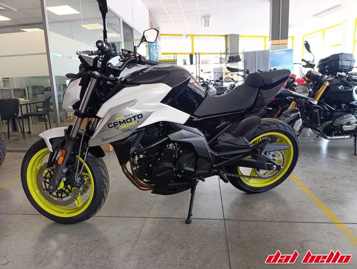CFMOTO 650NK (2021 - 24) (3)