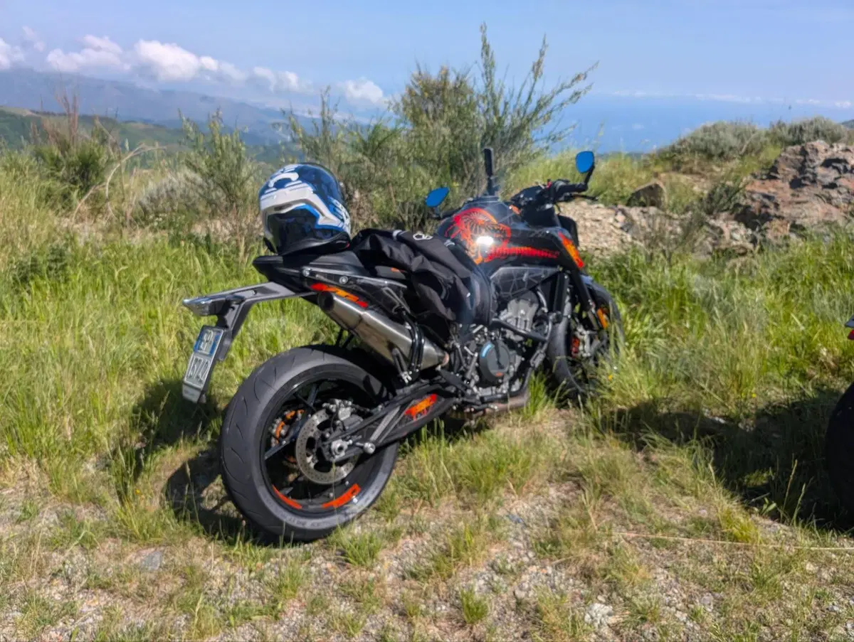 KTM 790 Duke (2018 - 20)