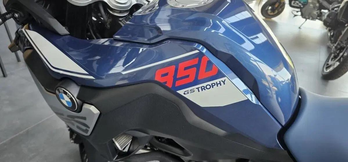 Bmw F 850 GS (2021 - 24) (6)