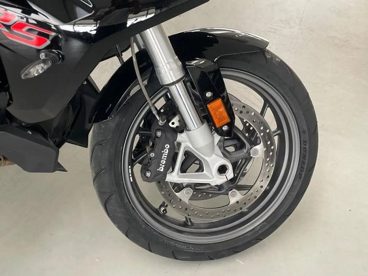 Bmw R 1250 RS (2019 - 20) (2)