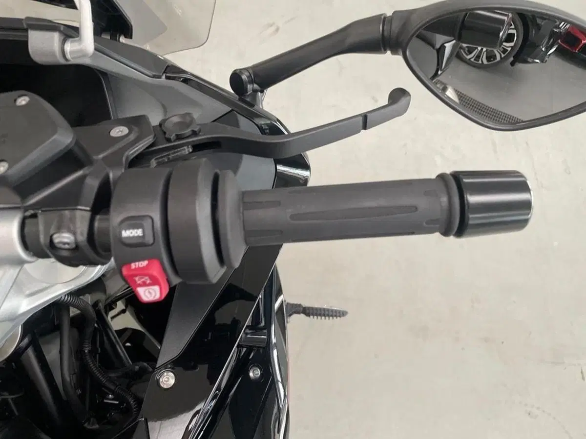 Bmw R 1250 RS (2019 - 20) (12)