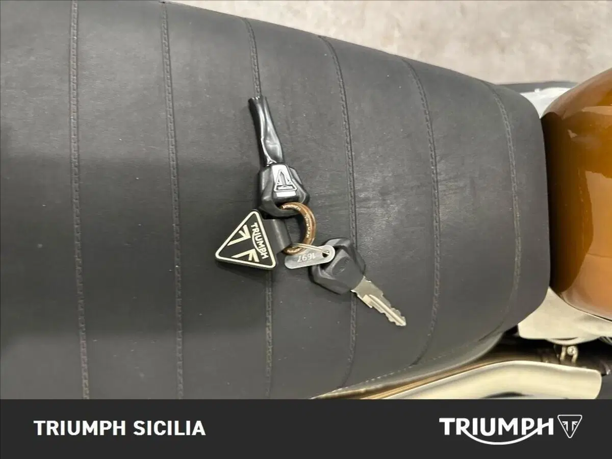 Triumph Scrambler 900 Stealth Edition (2024) (12)