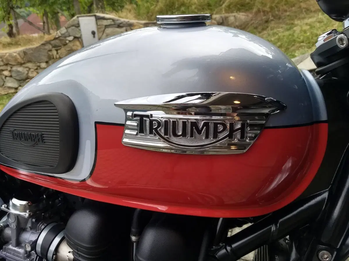 Triumph Scrambler (2006 - 17)