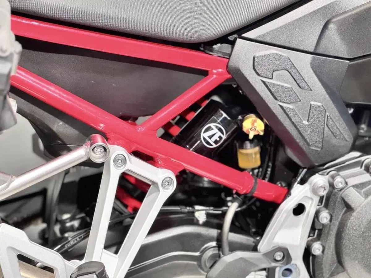 Bmw F 900 GS (2024 - 26) (12)