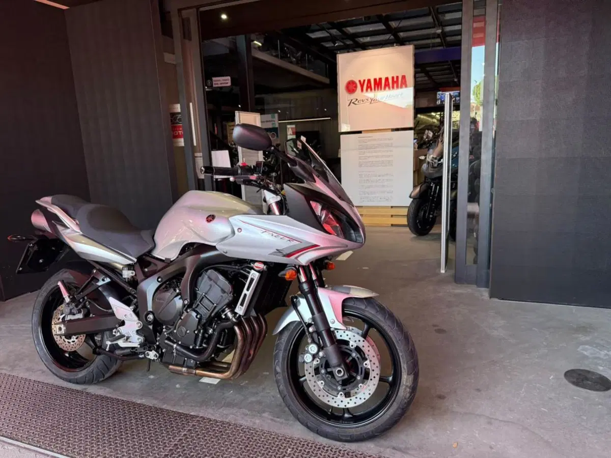 Yamaha FZ6 Fazer S2 (2006 - 11) (3)