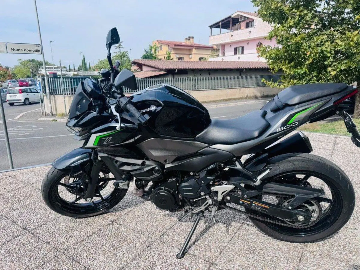 Kawasaki Z 500 (2024 - 27) (2)