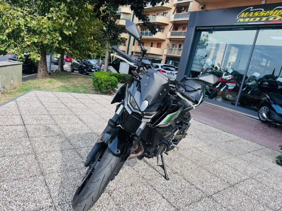 Kawasaki Z 500 (2024 - 27) (10)