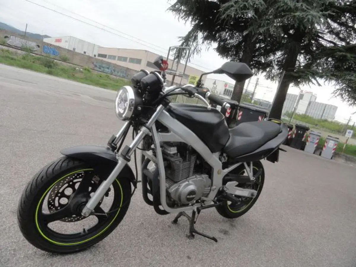 Suzuki GS 500 (2001 - 06) (4)