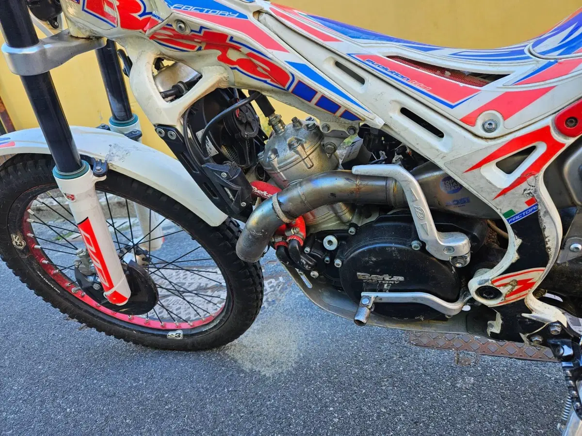 Betamotor Evo 300 2t (2012 - 16) (4)