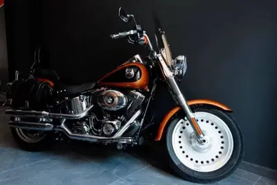 Harley-Davidson 1584 Fat Boy (2008 - 10) - FLSTF usata