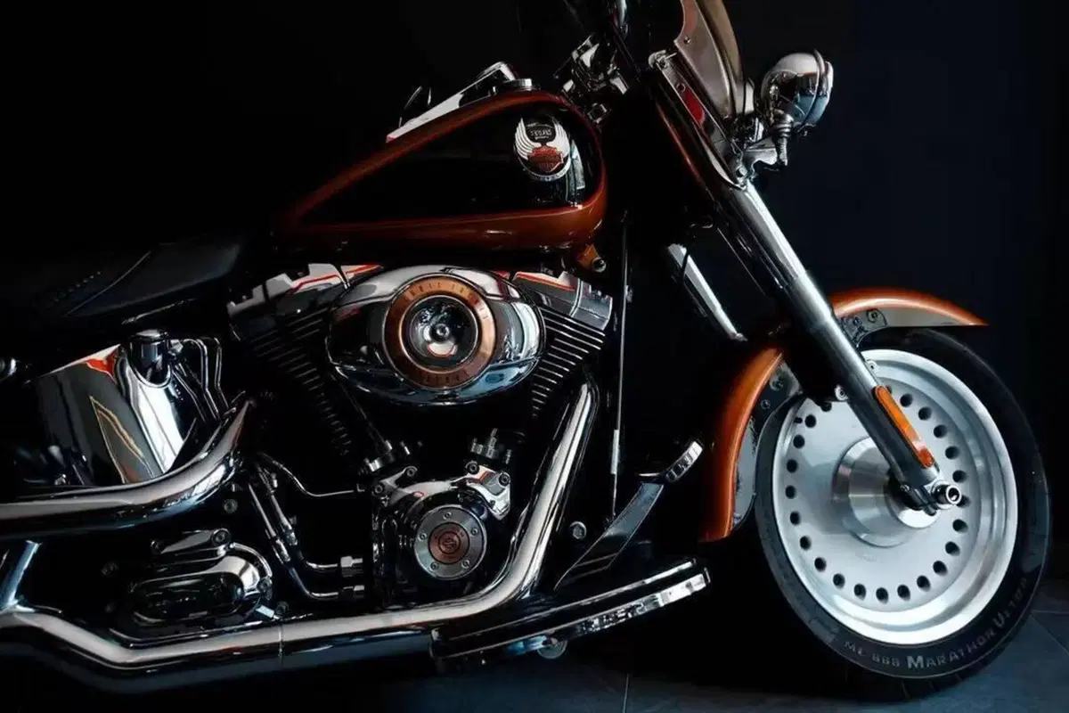 Harley-Davidson 1584 Fat Boy (2008 - 10) - FLSTF (2)